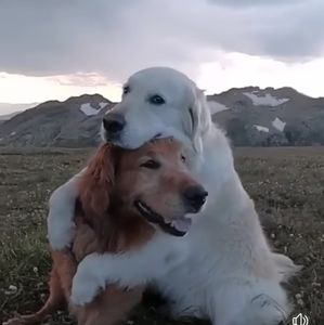 Trade with Sara ❤️